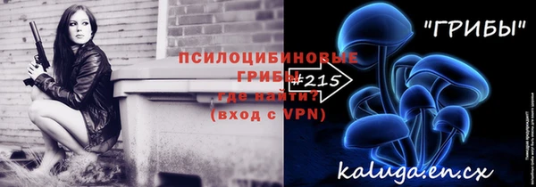ПСИЛОЦИБИНОВЫЕ ГРИБЫ Киренск