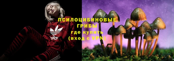 ПСИЛОЦИБИНОВЫЕ ГРИБЫ Киренск
