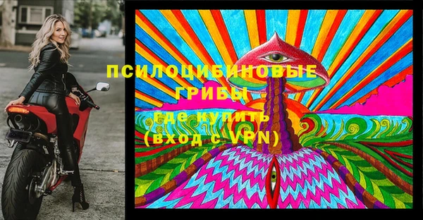 ПСИЛОЦИБИНОВЫЕ ГРИБЫ Киренск